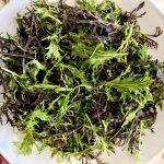 ensalada mizuna